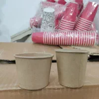 لیوان کاغذی در تمامی سایزها|ظروف نگهدارنده، پلاستیکی، یکبارمصرف|مشهد, خواجه ربیع|دیوار