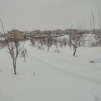 چند قطعه باغ و زمین کشاورزی