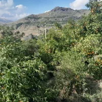 باغ با موقعیت تفریحی گردشگری|فروش خانه و ویلا|بوستان, |دیوار