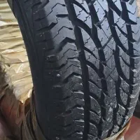 لاستیک نوارپیچ و آکبند|قطعات یدکی و لوازم جانبی|تربت جام, بیست متری منبع آب|دیوار