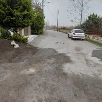 فروش-زمین-روبه-رو-هتل-نارجستان