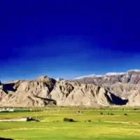 اجاره ۴ هکتار زمین کشاورزی