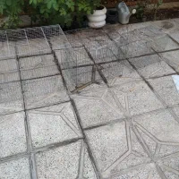 قفس پرنده|لوازم جانبی حیوانات|رومشکان, |دیوار