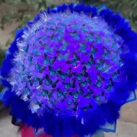 کادویی تولد سالگرد روز پسردسته گل پروانه ای|حراج|تبریز, |دیوار