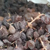 کشمش آفتابی درشت بوانات|خوردنی و آشامیدنی|بوانات, |دیوار