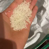 برنج هومالی درجه یک یال