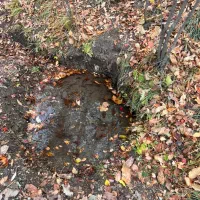 ۱۰۰۰متری روستای کلوان|فروش زمین و ملک کلنگی|آسارا, |دیوار