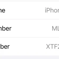 iPhone 13 mini|موبایل|تهران, فلسطین (میدان انقلاب)|دیوار