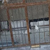 ۳ عدد قفس مرغ و خروس