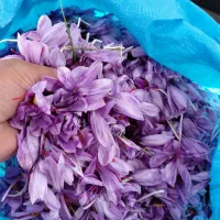 گل زعفران|خوردنی و آشامیدنی|نیمبلوک, |دیوار