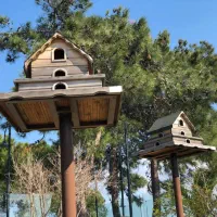راهنمایی و طبیعت گردی