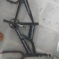 تنه و رینگ دوشاخ ۱۶