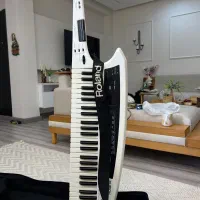 گیو رولند|پیانو، کیبورد، آکاردئون|رشت, آزادگان|دیوار