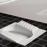 فروش محصولات مروارید فرنگی و ایرانی با تخفیف ویژه|لوازم سرویس بهداشتی|سبزوار, پاسداران|دیوار