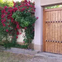فروش ویلا جاده پلاژ ۱۳۰ متر بنای دوبلکس استخر|فروش خانه و ویلا|فرح آباد, |دیوار