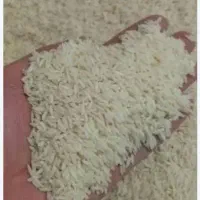 برنج طارم هاشمی