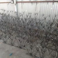 شاخ گوزنی وانواع حفاظ|خدمات پیشه و مهارت|گلپایگان, |دیوار