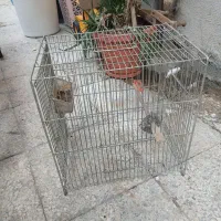 قفس پرنده سهره و قناری و غیره