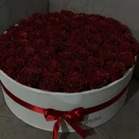 تخفیف روز مادر (روز زن)|گل مصنوعی|بروجن, |دیوار