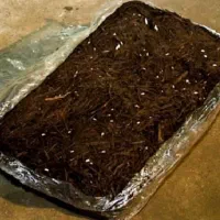 فروش کمپوست خاک پوششی تجهیزات سالن قارچ