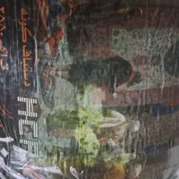 فرش سالم|فرش|رشت, پاره بیجار|دیوار