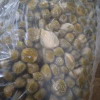 دهک تازه