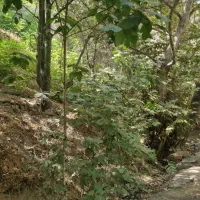 400مترعمارت-قدیمی-باحیاط-دلباز-کافه-گالری-رستوران