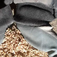 گندم دیمی مرغوب فروشی یا تعویض با جو