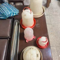 تعدادی جا ابی و جا دونه ای