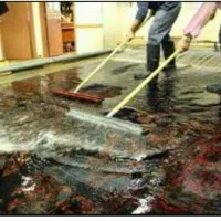 قالیشویی و مبل شویی طاها(میرزایی)