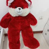 خرس تدی .. پیشوا