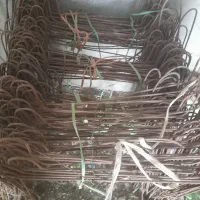 سیم شاسی گلخونه