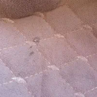 چراغ خطر پژو روکش صندلی|قطعات یدکی و لوازم جانبی|همدان, |دیوار