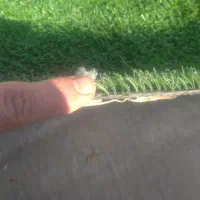 چمن مصنوعی درحدنو|مصالح و تجهیزات ساختمان|شیراز, کوشک میدان|دیوار