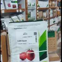 پخش بذر بریویو اورجین