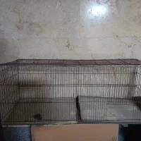 قفس پرنده بزرگ