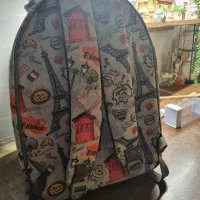 کیف حمل حیوانات