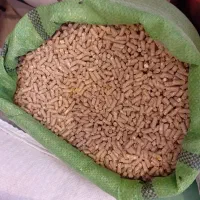 خوراک ماهی