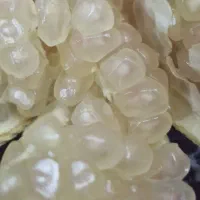 انار|خوردنی و آشامیدنی|یزد, |دیوار