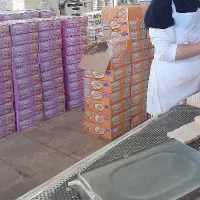 کارگاه تولیدی میشکا