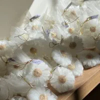 کلی گیفت عروس زیبا و ترند|صنایع دستی و سایر لوازم تزئینی|مشهد, نوید|دیوار