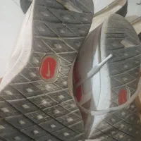 کفش زنانه ومردانه|کیف، کفش، کمربند|پرند, فاز ۱|دیوار