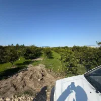فروش باغ مناسب خونه باغی ۱۵۰۰متری در چپکرود