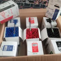 خودکار اطلس|لوازم التحریر|بندر کنگان, |دیوار