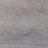 فرش آشپزحانه و موکت تشریفات|فرش|ارومیه, |دیوار