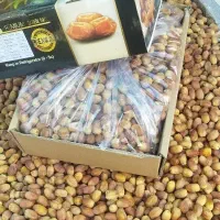 خرمای زاهدی