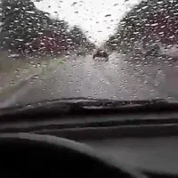 افیش ارا واران  یلدا کل تان بمارک