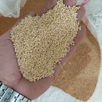 ارزن درشت ایرانی سورت شده تمیز