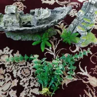 لوازم آکواریوم همشون سالم به دلیل دیگه فروختن ماهی|ماهی|تهران, هاشمی|دیوار