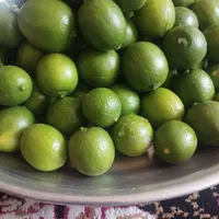 لیمو تازه برای فروش